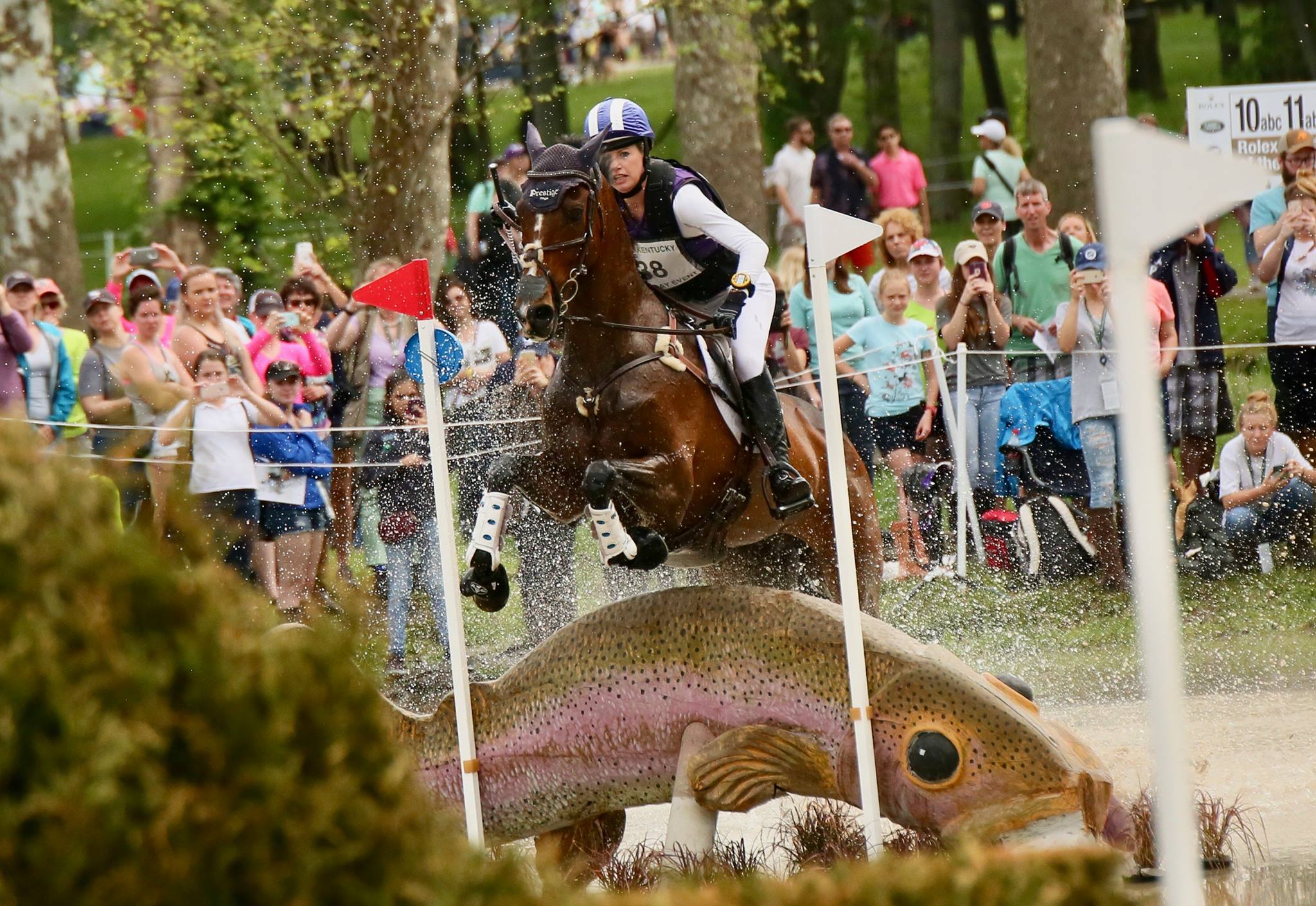 Never Outfoxed, ridden by Holly Payne Caravella